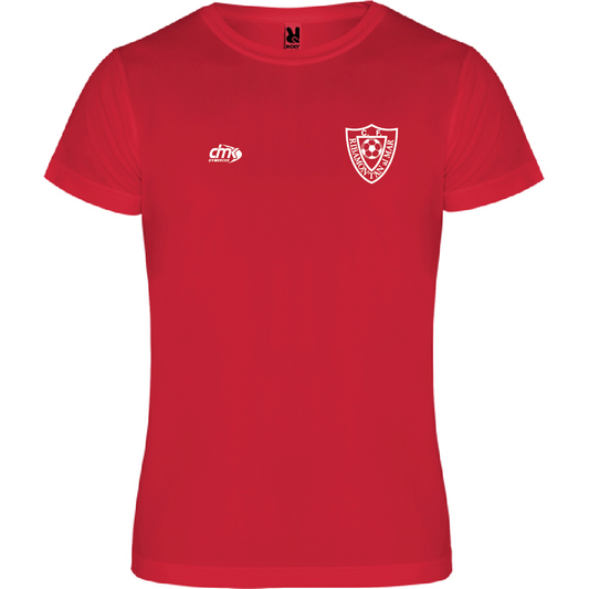 CAMISETA PASEO