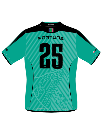 CAMISETA DE PORTERO AZUL TURQUESA